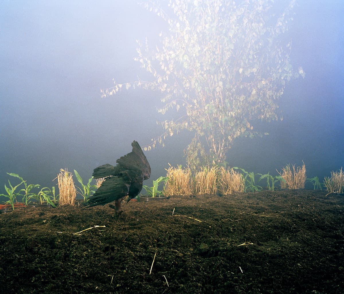 lbaud_05.jpg