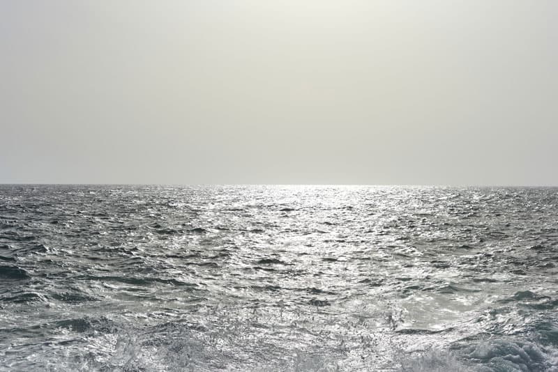 mottaz_04.jpg